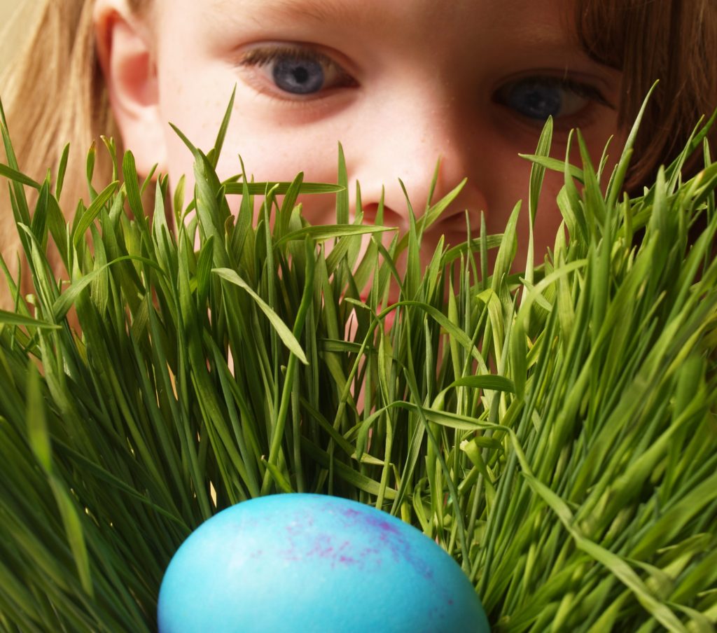 Cook Out and Easter Egg Hunt @ NewDay Church